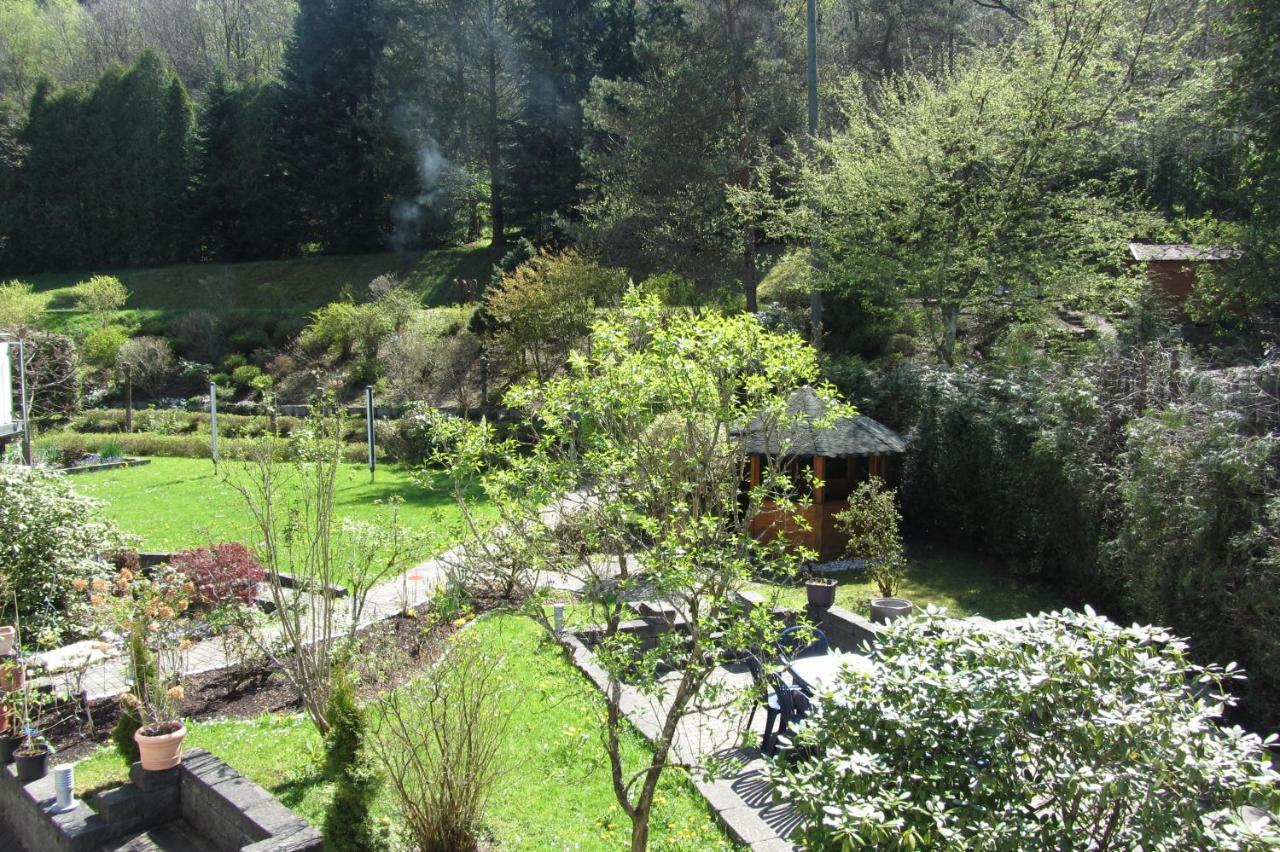 Pension Zum Rothaarsteig 内托芬 外观 照片