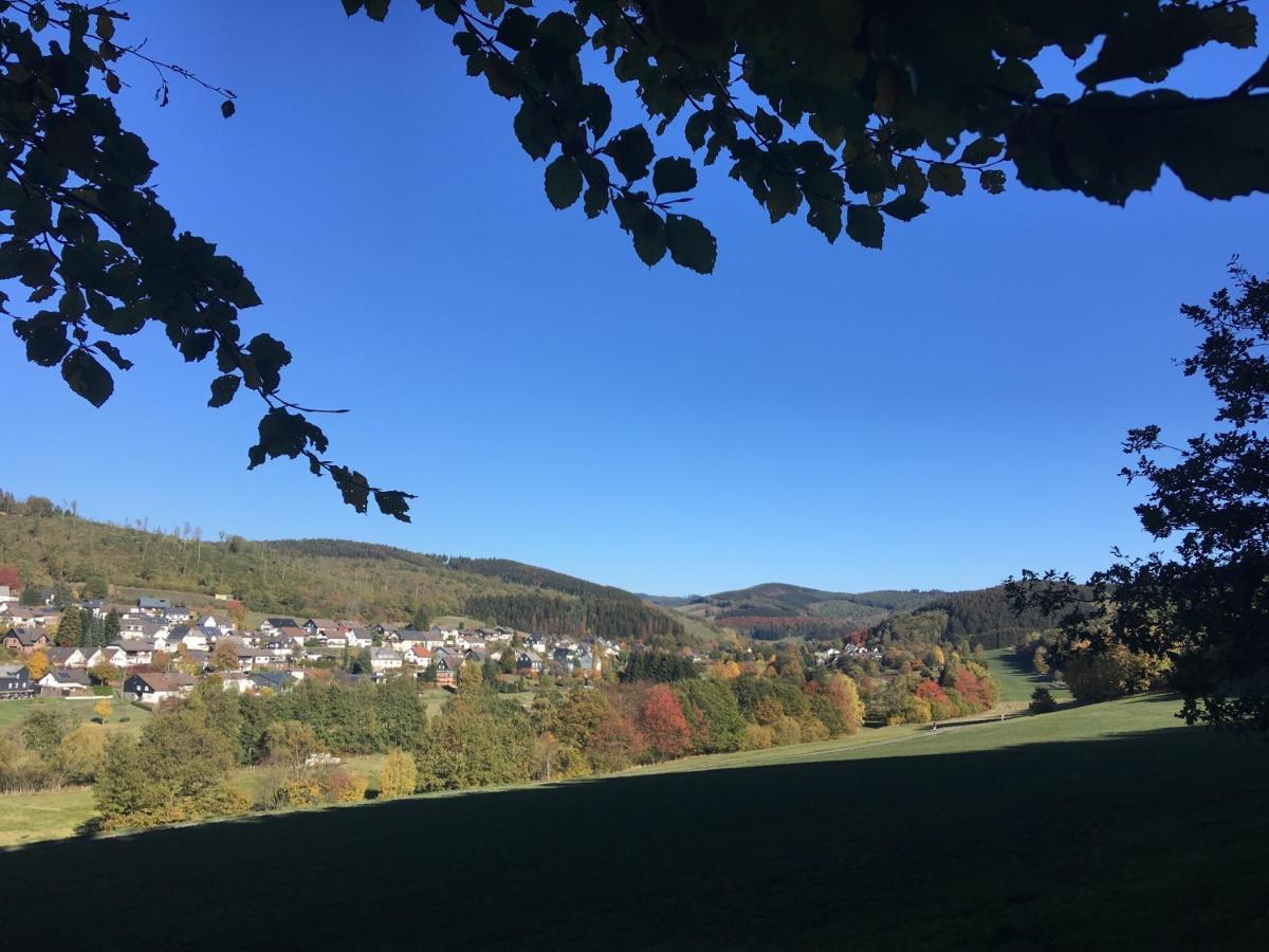 Pension Zum Rothaarsteig 内托芬 外观 照片