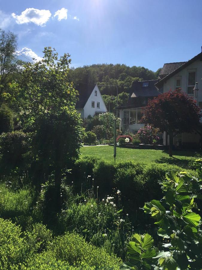 Pension Zum Rothaarsteig 内托芬 外观 照片